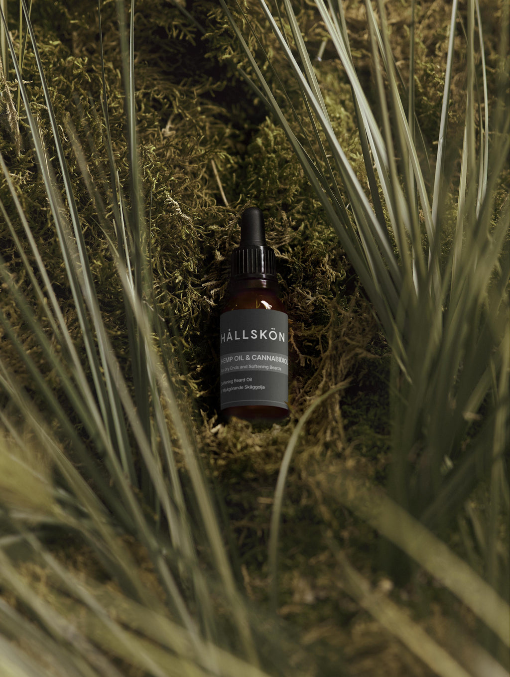 Softening Beard Oil, HAMPA & CANNABIDIOL